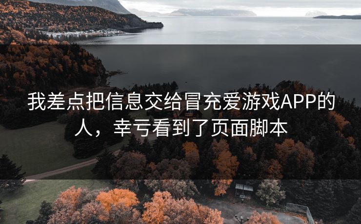 我差点把信息交给冒充爱游戏APP的人，幸亏看到了页面脚本