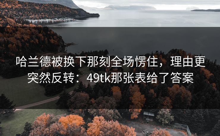 哈兰德被换下那刻全场愣住，理由更突然反转：49tk那张表给了答案